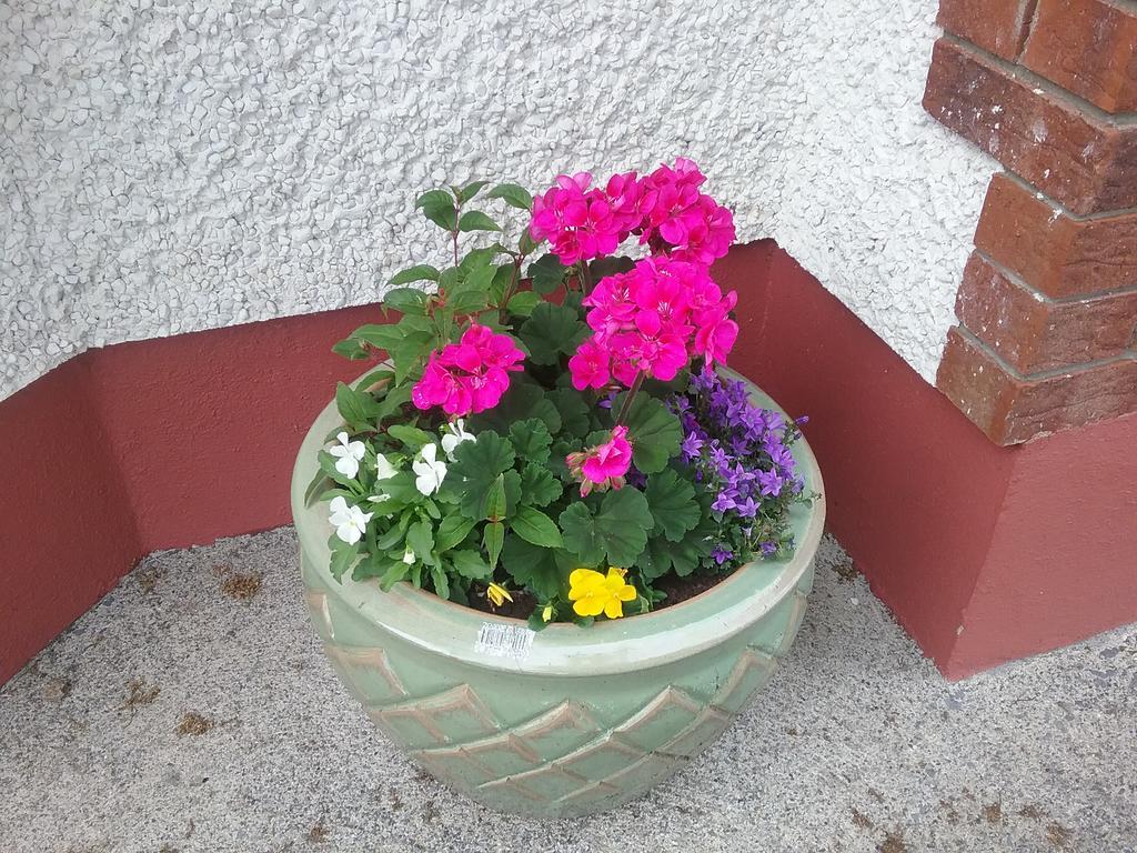 Rocksberry Bed & Breakfast Castlebar Eksteriør bilde